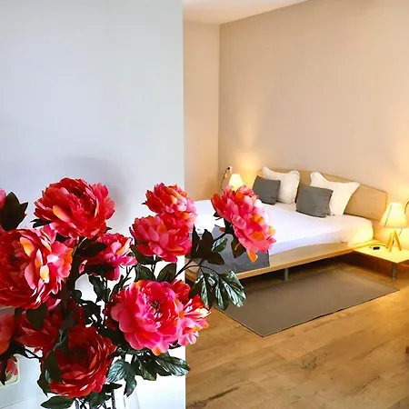 Hotel Amfora 3*