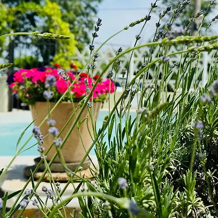 Amfora 3* Aziz Konstantin ve Elena