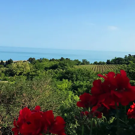 Amfora Aziz Konstantin ve Elena