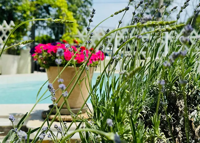 Amfora 3* Saints Constantine and Helena